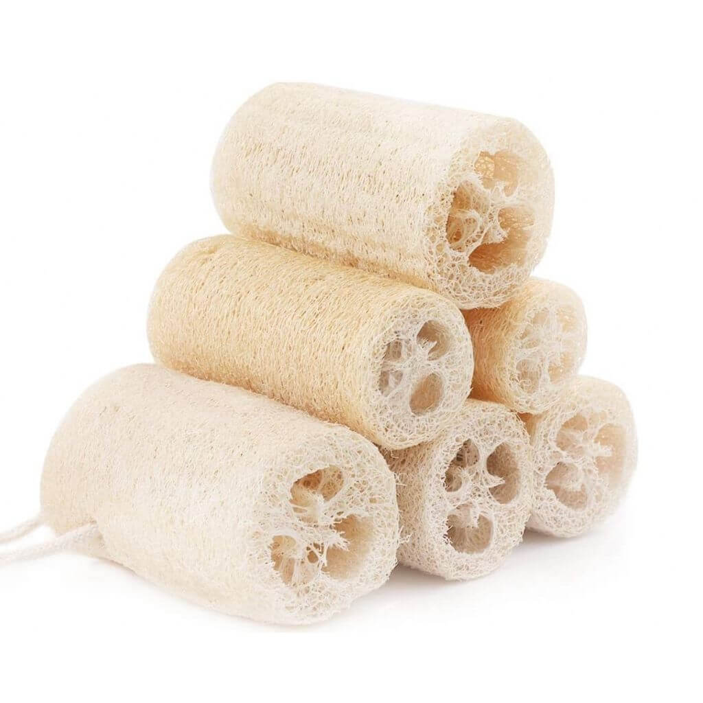 natural loofah 1 1 Natürlicher Luffa Schwamm | 100% Bio, Zero Waste & Peeling