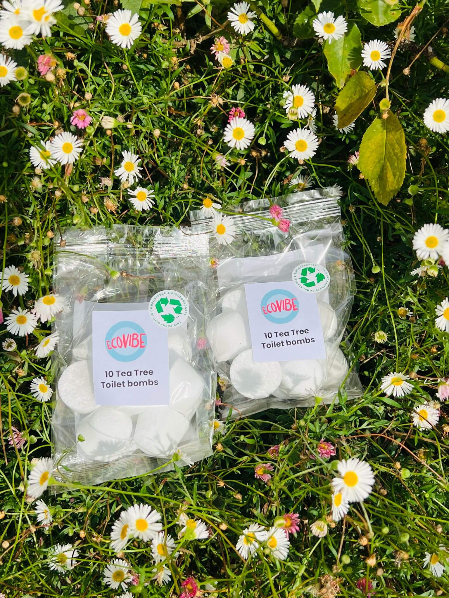 Bio WC-Reinigungstabs (10er Pack) mit reinen ätherischen Ölen 10 Bio WC-Reinigungstabs (10er Pack) mit reinen ätherischen Ölen – Bild 10