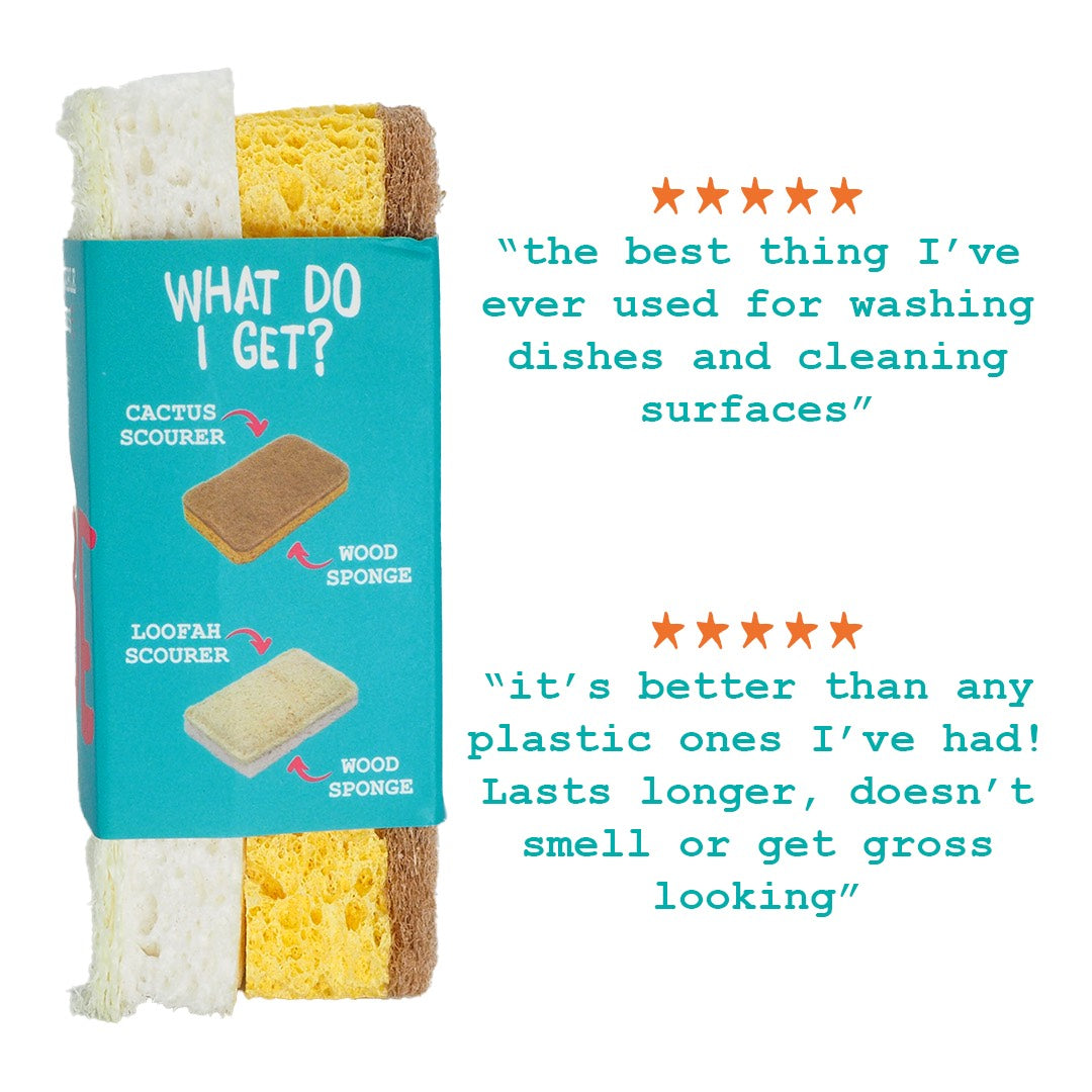Kompostierbares Eco-Schwamm-Set – Sisal & Luffa Mix Saugstark & Kratzfrei 4 Kompostierbares Eco-Schwamm-Set – Sisal & Luffa Mix Saugstark & Kratzfrei – Bild 4